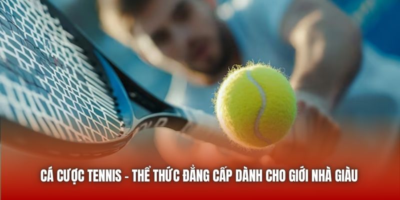 Cá Cược Tennis - Thể Thức Đẳng Cấp Dành Cho Giới Nhà Giàu